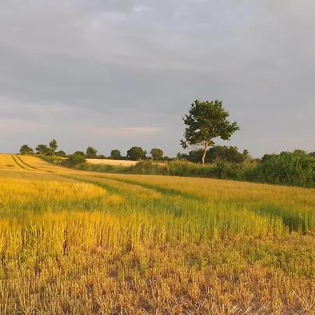 Vakantiehuis Haithabu